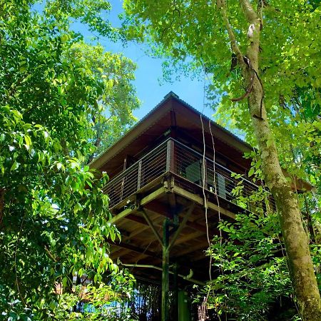 Cairns Rainforest Retreat Esterno foto