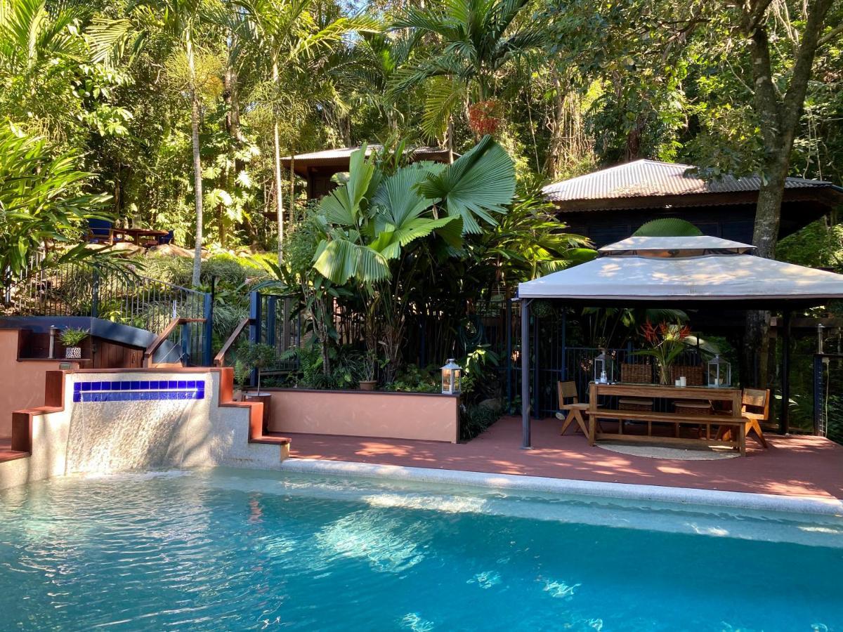 Cairns Rainforest Retreat Esterno foto