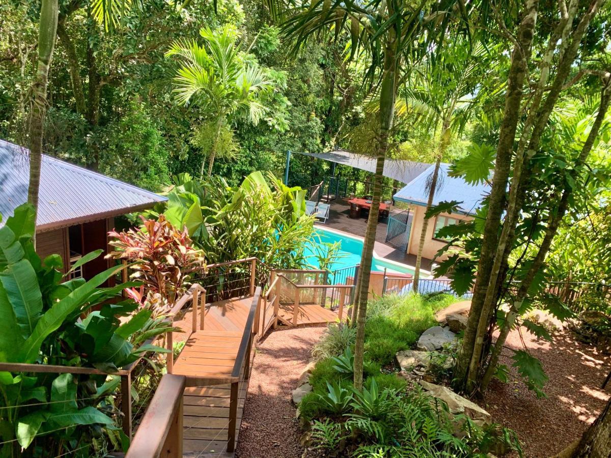 Cairns Rainforest Retreat Esterno foto