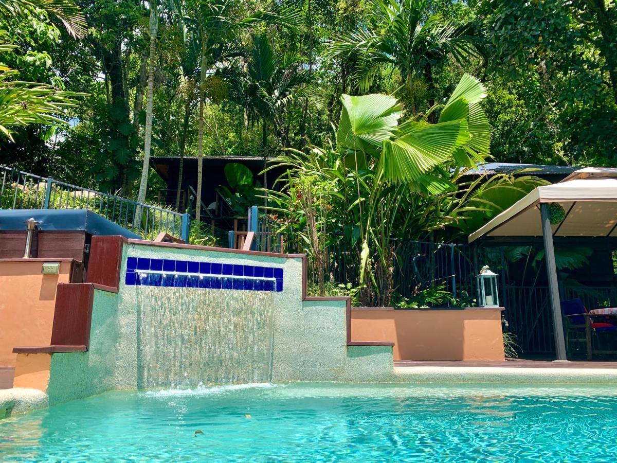 Cairns Rainforest Retreat Esterno foto