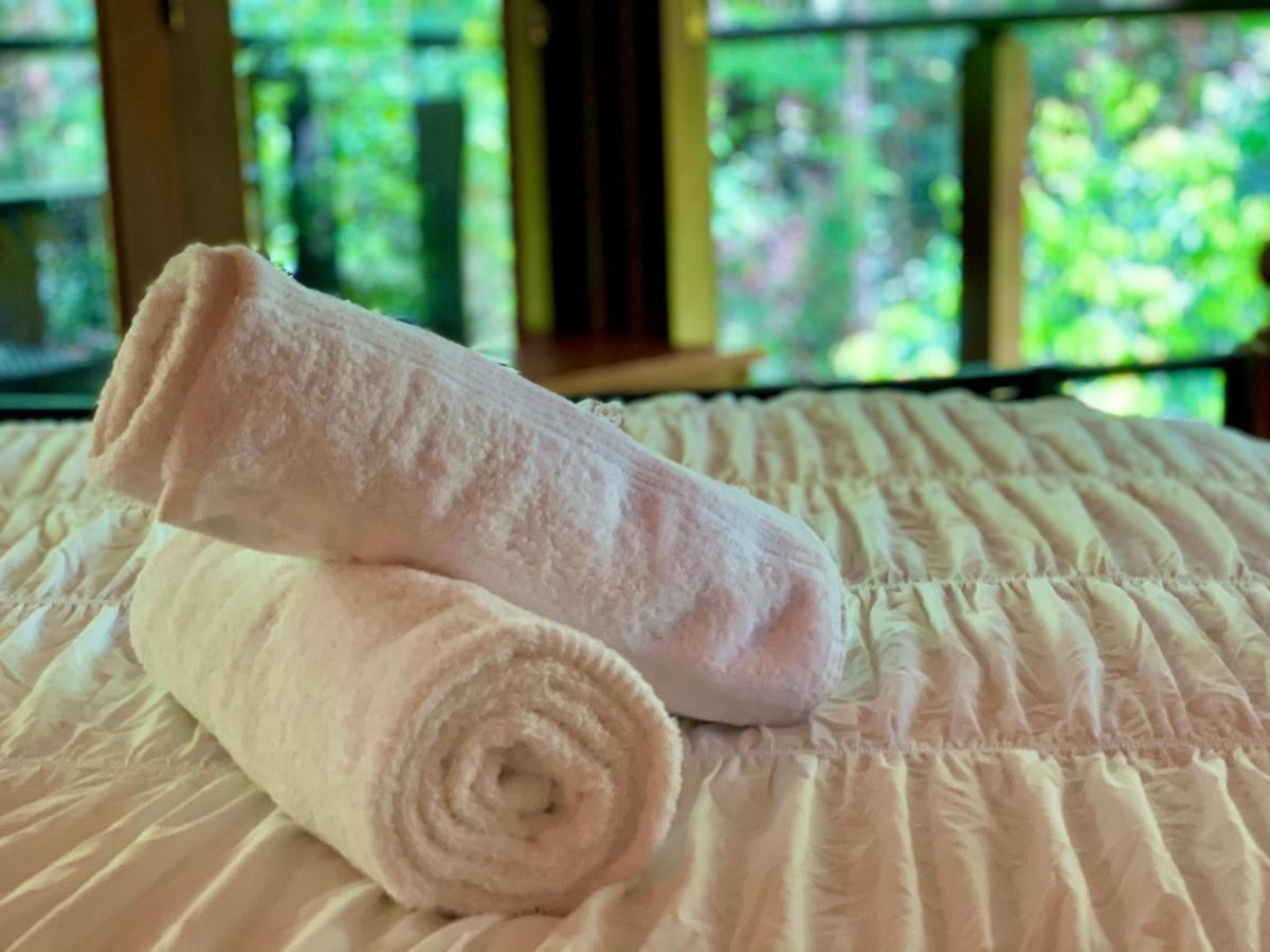 Cairns Rainforest Retreat Esterno foto