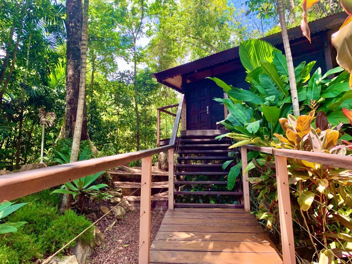 Cairns Rainforest Retreat Esterno foto