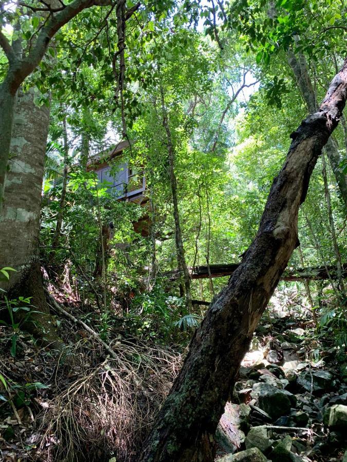 Cairns Rainforest Retreat Esterno foto