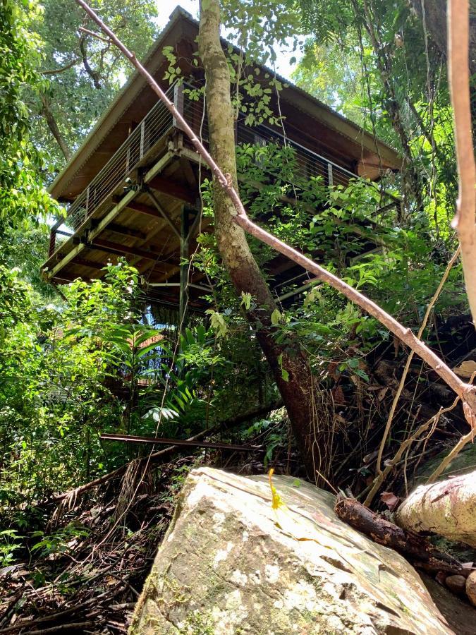 Cairns Rainforest Retreat Esterno foto