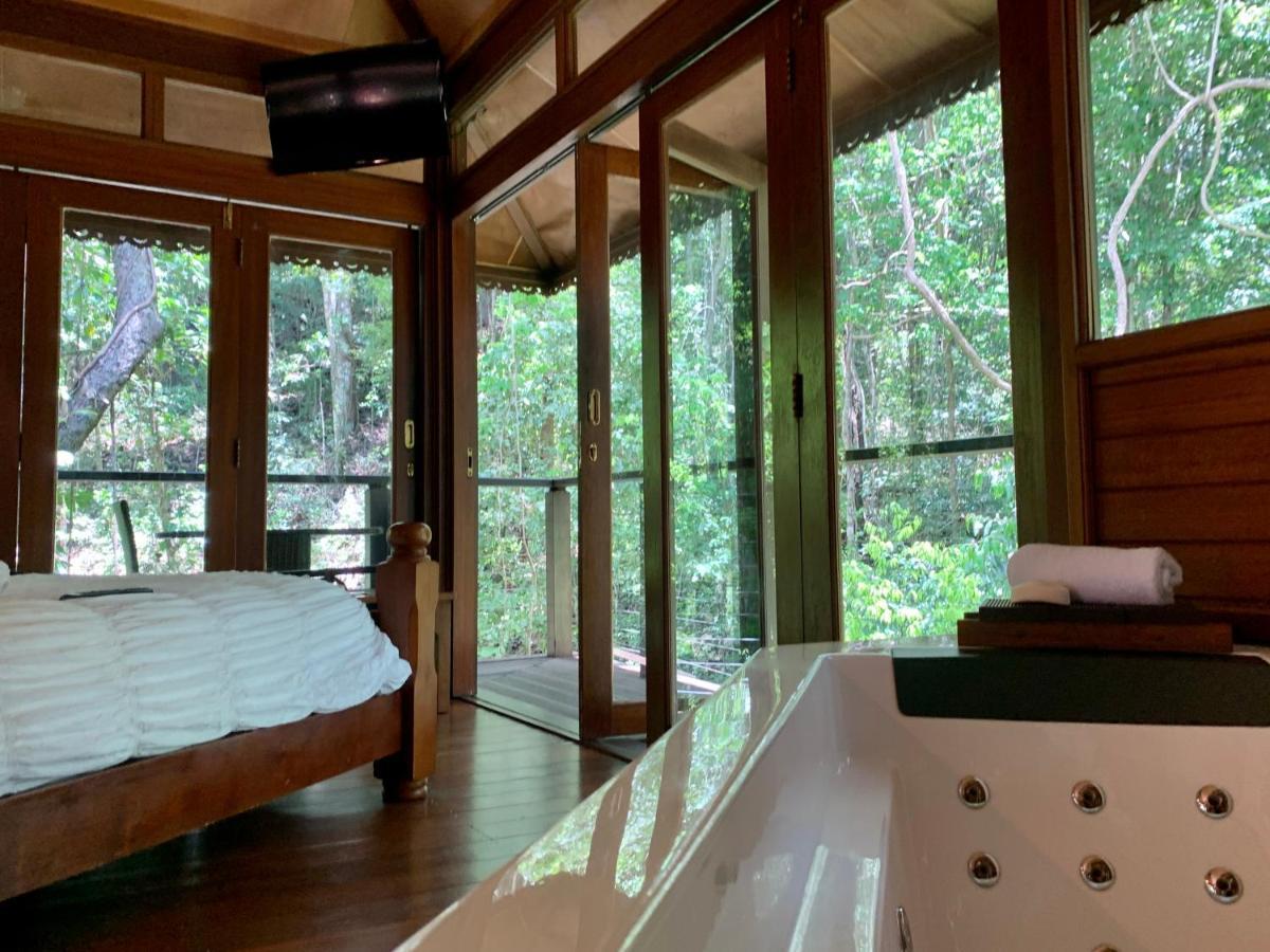 Cairns Rainforest Retreat Esterno foto