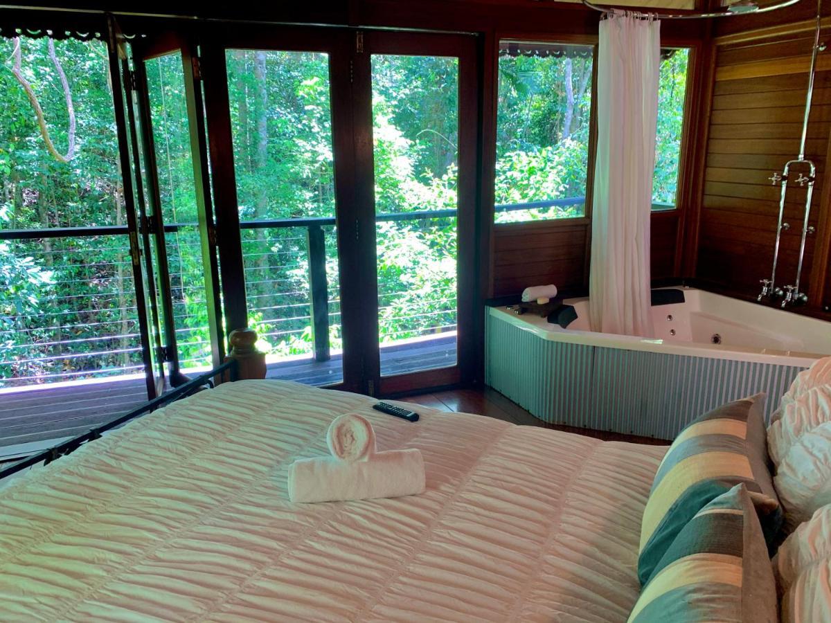 Cairns Rainforest Retreat Esterno foto